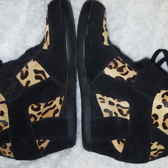 a.s.h - Picture 5 of 5